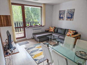 Sunny Apartment C25